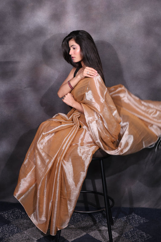 Mehreen (Without Border) – Beige Tissue Saree